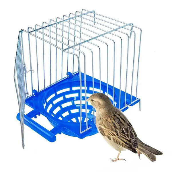 84g4MiNi-Breeding-Box-Hollow-Cage-Nest-Parrot-Birds-Nesting-Basin-Hideaway-Shelter-Cages.jpg