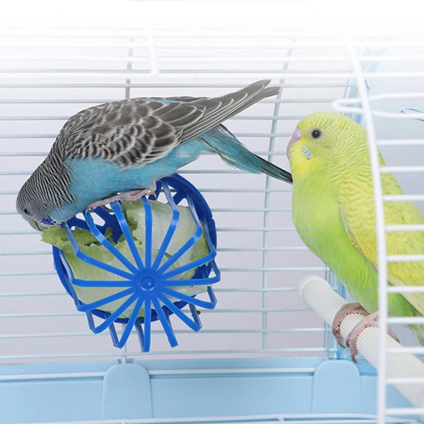 crgT1PC-Bird-Parrot-Feeder-Cage-Fruit-Vegetable-Holder-Cage-Access-Hanging-Basket-Container-Toy-Pet-Parrot.jpg