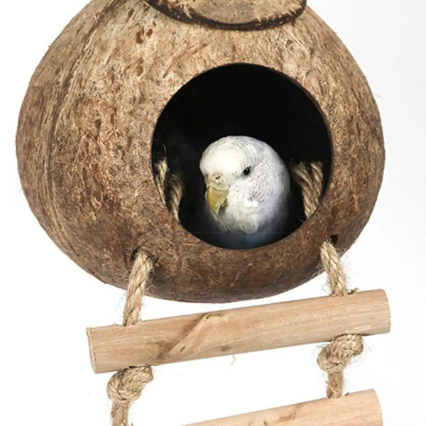 kyFVParrot-Natural-Coconut-Shell-Bird-Nest-Hideout-House-Playpen-Bird-Supplies-For-Hamster-Guinea-Pigs-Birds.jpg