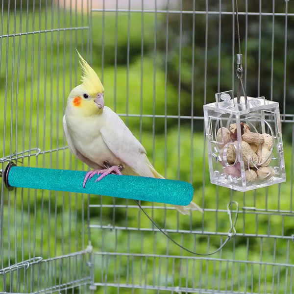GFLvBird-Claw-Beak-Grinding-Bar-Standing-Stick-Parrot-Station-Pole-Bird-Supplies-Parrot-Grinding-Stand-Claws.jpg