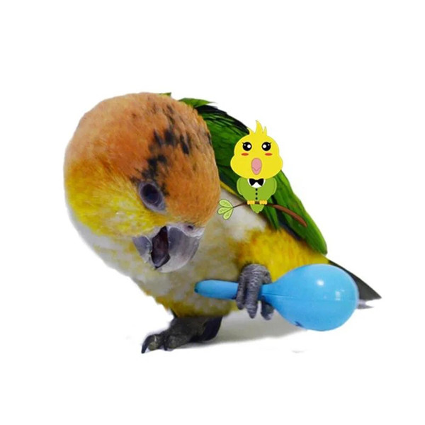 NjSW3PCS-Parrot-Rattle-Sand-Hammer-Sand-Ball-Bird-Bites-Wisdom-Interactive-Training-Toys-Pet-Accessories-Bird.jpg
