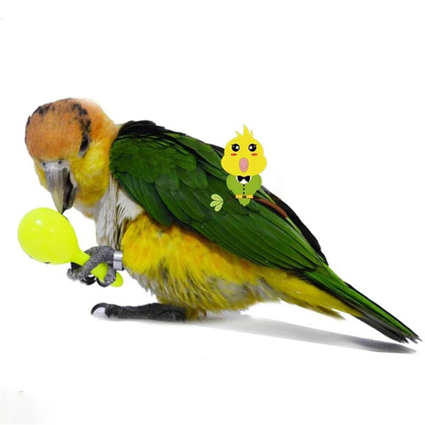 FbHM3PCS-Parrot-Rattle-Sand-Hammer-Sand-Ball-Bird-Bites-Wisdom-Interactive-Training-Toys-Pet-Accessories-Bird.jpg
