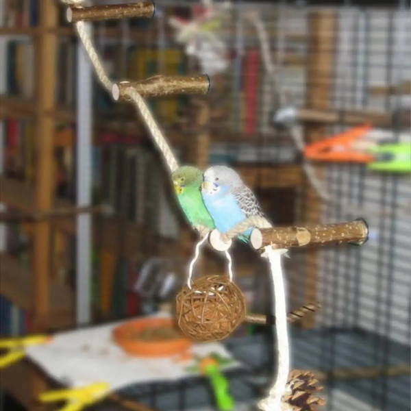 GjCBPet-Parrot-Wooden-Perch-Stand-Hanging-Climbing-Hammock-Swing-Standing-Training-Toys-Bird-Cage-Wood-Branch.jpg
