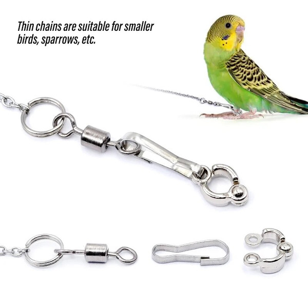 xxbwBird-Parrot-Foot-Chain-Stainless-Steel-Ankle-Foot-Ring-Stand-Chain-Outdoor-Flying-Training-Starling-Pigeon.jpg