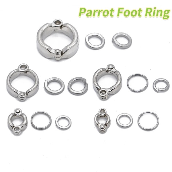 jGDbParrot-Leg-Ring-Stainless-Steel-Bird-Ankle-Foot-Chain-Ring-Anti-Bite-Wire-Rope-Outdoor-Flying.jpg