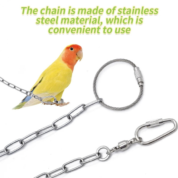 T5y8Parrot-Leg-Ring-Stainless-Steel-Bird-Ankle-Foot-Chain-Ring-Anti-Bite-Wire-Rope-Outdoor-Flying.jpg