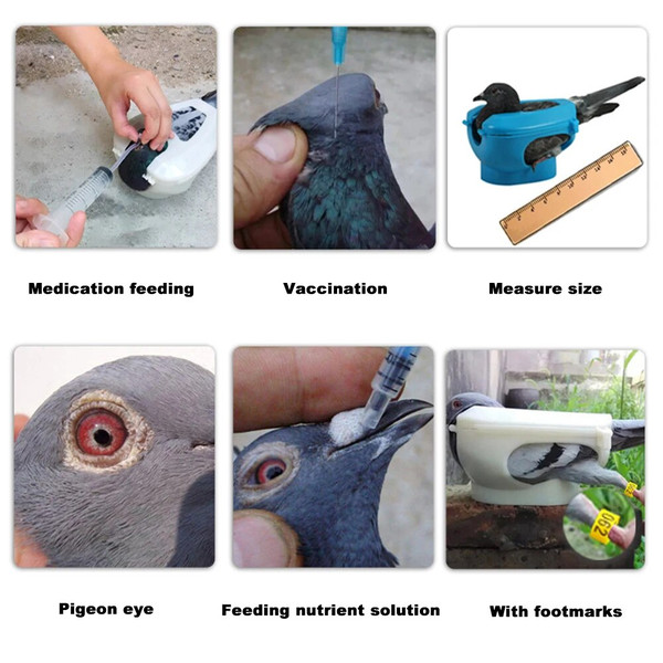 sPZvPigeon-Holder-Plastic-Pigeons-Holder-Bird-Fixed-Frame-Rack-Feeding-Syringe-For-Birds-Pigeon-Parrot-Chick.jpg