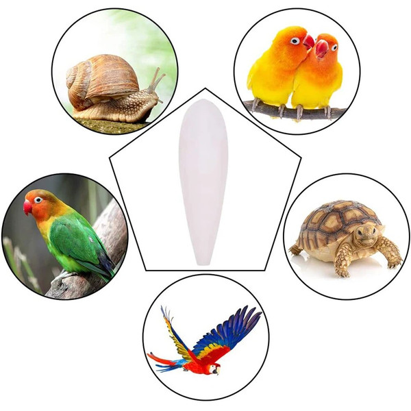 nrwvCuttlefish-Bone-Parrot-Chewing-Toys-Creative-Parrot-Chewing-Toy-Bird-Food-Calcium-Cuttlebone-Pick-Stone-Pet.jpg