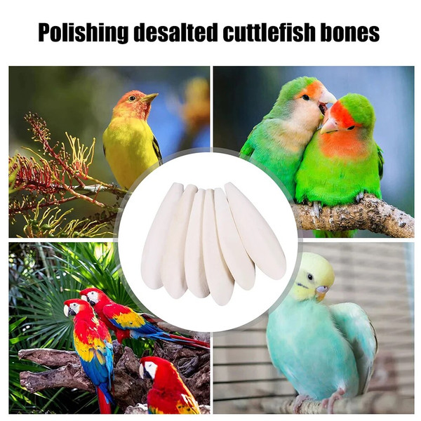 ySA3Cuttlefish-Bone-Parrot-Chewing-Toys-Creative-Parrot-Chewing-Toy-Bird-Food-Calcium-Cuttlebone-Pick-Stone-Pet.jpg