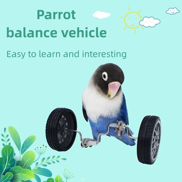 rJ6wParrot-Balance-Car-Deboring-Toys-Small-And-Medium-Sized-Bird-Supplies-Roller-Skateboard-Skill-Training-Props.jpg