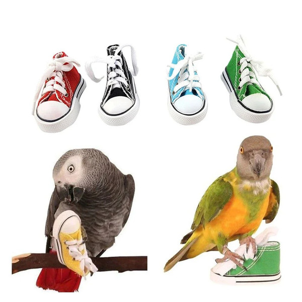 rGYgMini-Canvas-Shoes-Parrot-Bird-Toys-Pet-Bird-Shoe-Cage-Decoration-Standing-Climbing-Toy-Parrot-Bird.jpg