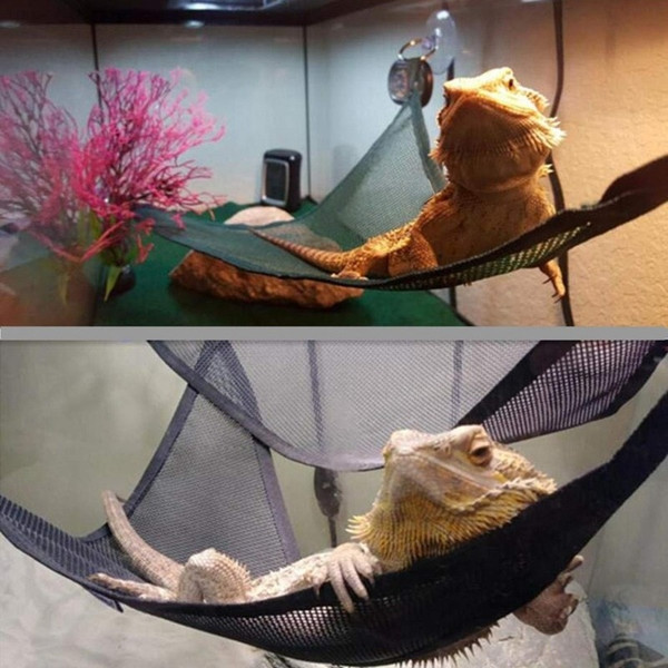 fSN3Reptile-Hammock-Lounger-Ladder-Accessories-Set-for-Large-Small-Bearded-Dragons-Anole-Geckos-Lizards-or-Snakes.jpg