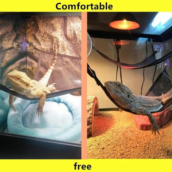 hVqUReptile-Hammock-Lounger-Ladder-Accessories-Set-for-Large-Small-Bearded-Dragons-Anole-Geckos-Lizards-or-Snakes.jpg