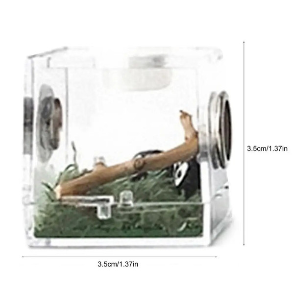 tc2kReptile-Breeding-Box-Acrylic-Reptile-Habitat-Cage-Insect-Feeding-Case-Climbing-Pet-Terrarium-Tank-Clear-Mini.jpg