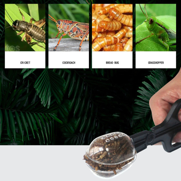 hNzzReptile-Terrarium-Lizards-Plastic-Tongs-Tweezers-Pet-Raising-Feeding-Tool-Clip-Children-School-Plant-Insect-Biology.jpg