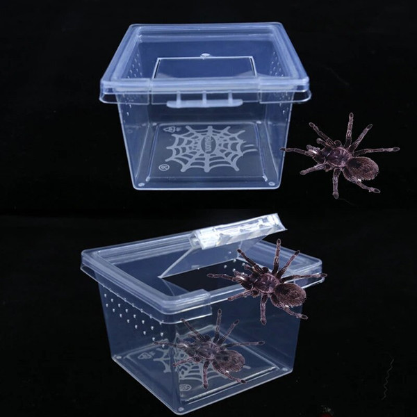 ni781Pc-Plastic-Reptiles-Living-Box-Transparent-Reptile-Terrarium-Habitat-for-Scorpion-Spider-Ants-Lizard-Breeding-Feeding.jpg