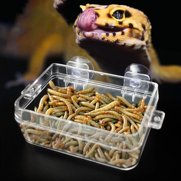 gOw9Reptile-Transparent-Feeder-Anti-escape-Food-Bowl-Worm-Live-Container-With-Strong-Suction-Cups-Pet-Supplies.jpg