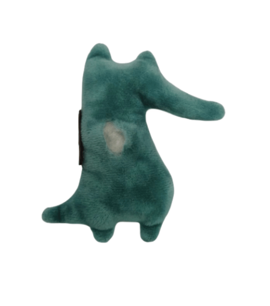 NfutPet-Toys-Cartoon-Cute-Bite-Resistant-Plush-Toy-Pet-Chew-Toy-for-Cats-Dogs-Pet-Interactive.png
