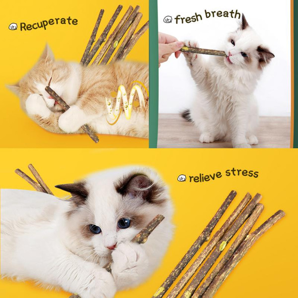 mDkKCat-Molar-Stick-Natural-Catnip-Teeth-Cleaning-Toothpaste-Silvervine-Cat-Snack-Stick-Self-Healing-Kitten-Chew.jpg
