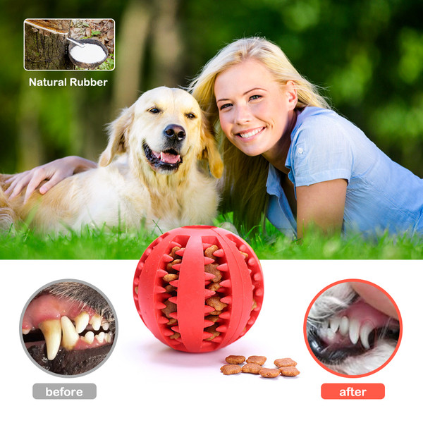 6tu2Pet-Dog-Toy-Interactive-Rubber-Balls-for-Small-Large-Dogs-Puppy-Cat-Chewing-Toys-Pet-Tooth.jpg