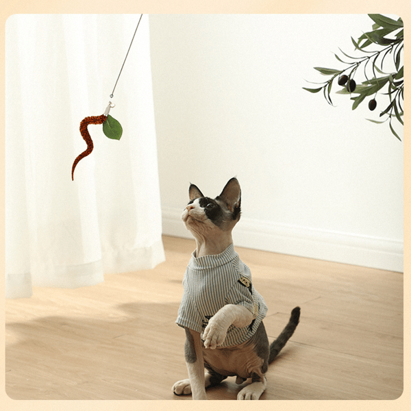 YCOVCaterpillar-Cat-Toy-Set-Cat-Feather-Teaser-Wand-Toy-for-Kitten-Cat-dog-Plush-Worms-Interactive.jpg
