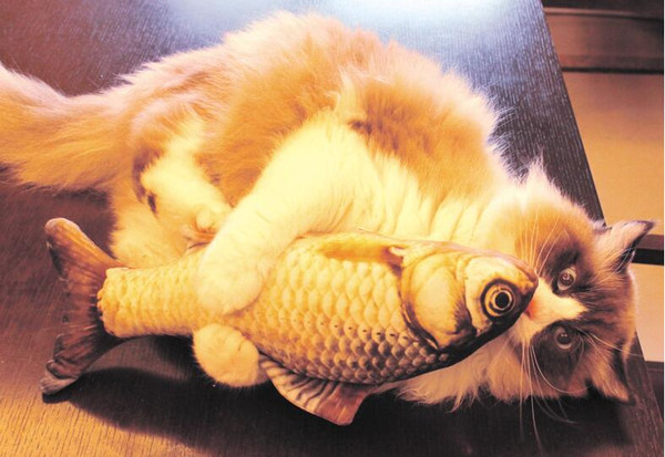 VRET20cm-Cat-Favor-Fish-Toy-Stuffed-Fish-Shape-Cat-Scratch-Board-Scratching-Post-plush-toys-For.jpg