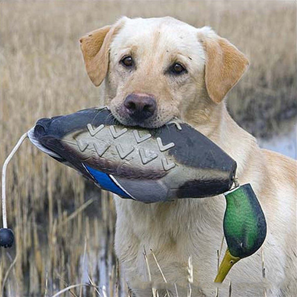 GRfkMimics-Dead-Duck-Bumper-Toy-For-dogTraining-Puppies-Hunting-Dogs-Teaches-Mallard-Waterfowl-Game-Retrieval-Props.jpg