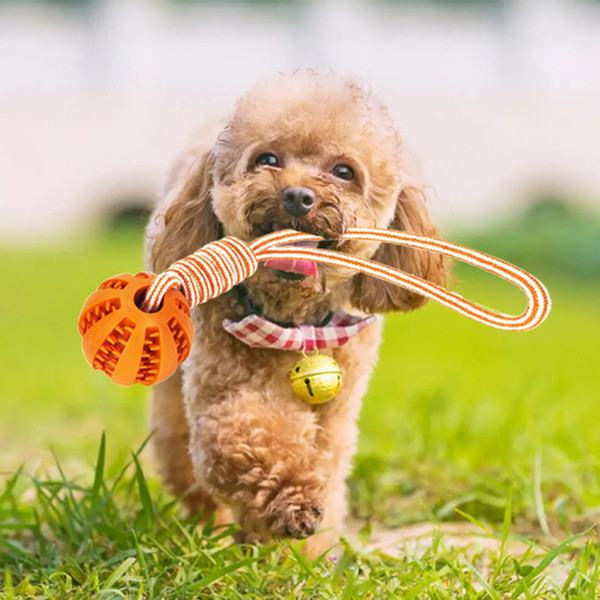 pcnhDog-Ball-Toy-with-Rope-Interactive-Leaking-Balls-for-Small-Large-Dogs-Bite-Resistant-Chew-Toys.jpg