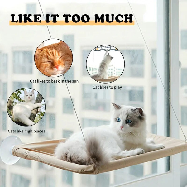 suSsNew-Cat-Hammock-Window-Hanger-Cat-Hammock-Washable-Detachable-Pet-Bed-Suction-Shelf-Bag-Beds-Seat.jpg