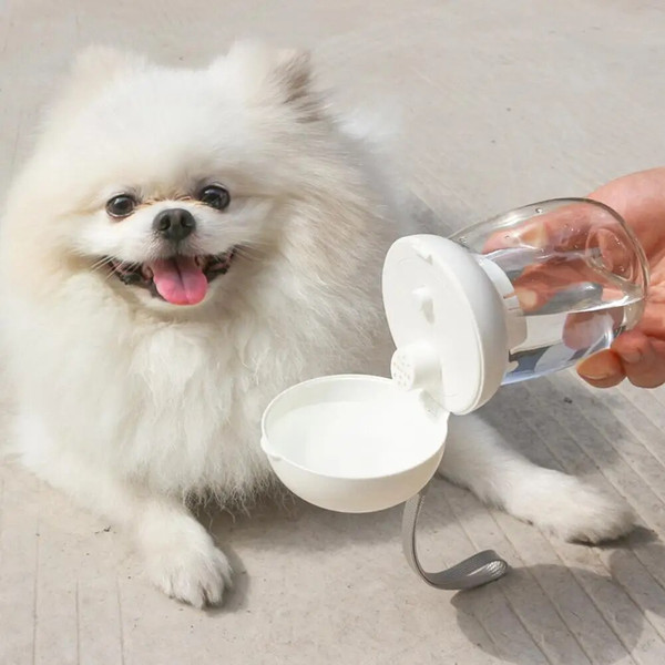 erRt300ml-Outdoor-Portable-Traveling-Cup-Water-Bottle-Feeding-Bowl-With-Lanyard-Puppy-Pet-Drinker-For-Dog.jpg