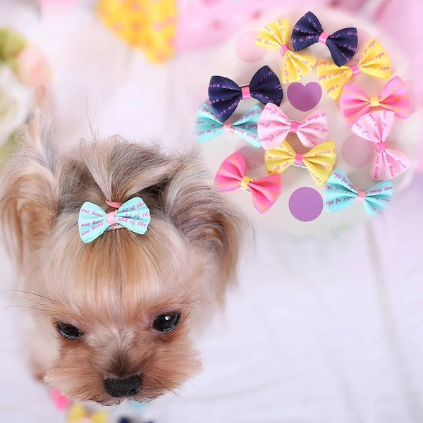 yah35Pcs-set-Cute-Dog-Hairpin-Colorful-Bone-Shape-Hairpin-Pet-Puppy-Dogs-Hair-Clips-for-Chihuahua.jpg