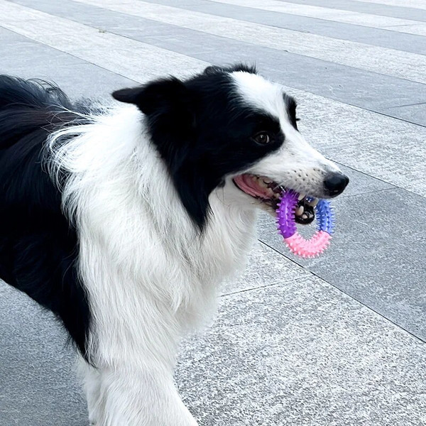 zvAdPet-Dog-Toys-Rubber-Thorn-Ring-Bite-Resistant-Tooth-Cleaning-TPR-Molar-Chew-Toys-for-Dogs.jpg