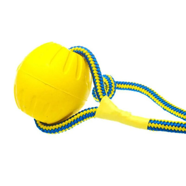 FJT17-9cm-Indestructible-Solid-Rubber-Ball-Pet-Dog-Training-Chew-Play-Fetch-Bite-Toy-Dog-Toys.jpg