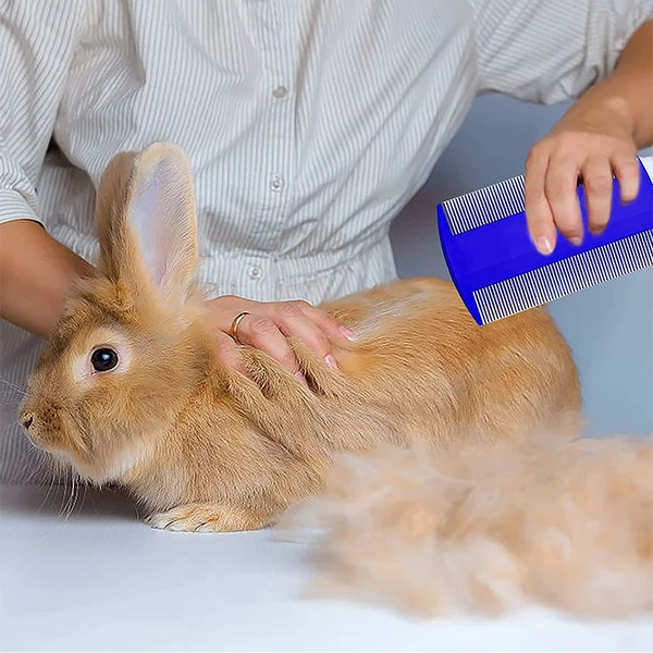 i5fZ4Pcs-Rabbit-Grooming-Kit-with-Tear-Stain-Remover-Combs-Pet-Nail-Clipper-Double-Sided-Shampoo-Bath.jpg