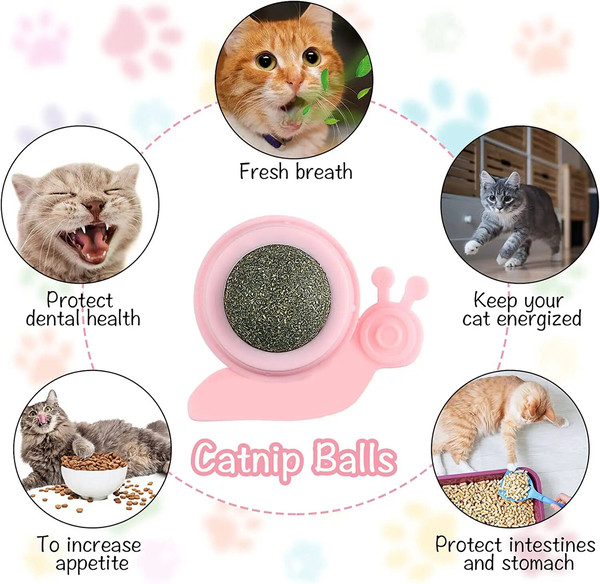 RQhXATUBAN-Catnip-Wall-Ball-Cat-Toys-Catnip-Balls-for-Cats-Wall-Mounted-Catnip-Ball-Toy-Catnip.jpg