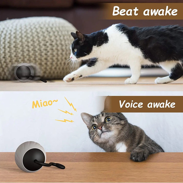 iHvjATUBAN-Cat-Toy-Interactive-Cat-Toys-for-Indoor-Cats-Automatic-Moving-Cat-Ball-Toys-LED-Two.jpg