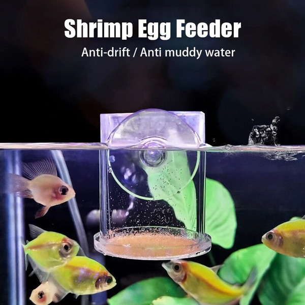 HrUkClear-Arcylic-Aquarium-Fish-Feeder-Anti-drift-Shrimp-Egg-Fish-Food-Feeding-Ring-Betta-Fish-Tank.jpg