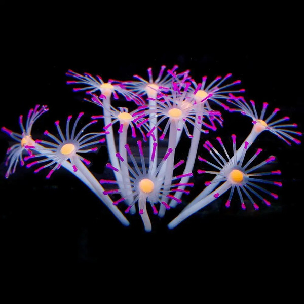eihm1Pcs-Silicone-Glowing-Artificial-Fish-Tank-Aquarium-Coral-Plants-Ornament-Underwater-Pets-Decor-Aquatic-Pet-Supplies.jpg