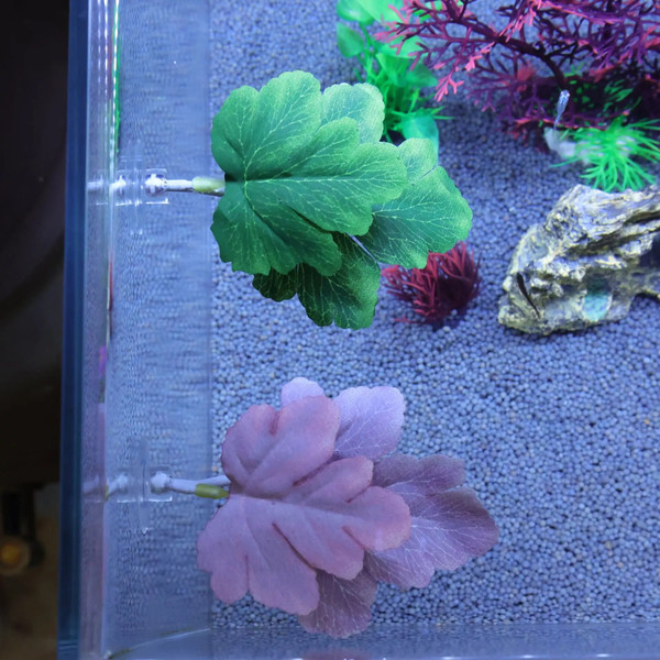 ej7qBetta-Fish-Rest-Leaf-Aquarium-Landscaping-Artificial-Plants-Decoration-Fish-Spawning-Leaf-Fish-Tank-Simulation-Grass.jpg