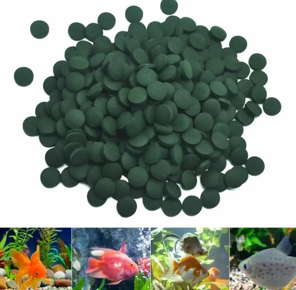 PN4210pcs-Astaxanthin-Aquarium-Fish-Tank-Tablet-Pills-Fish-Food-Non-toxic-Supplies-Shrimp-Aquarium-Feeding-Fish.jpg