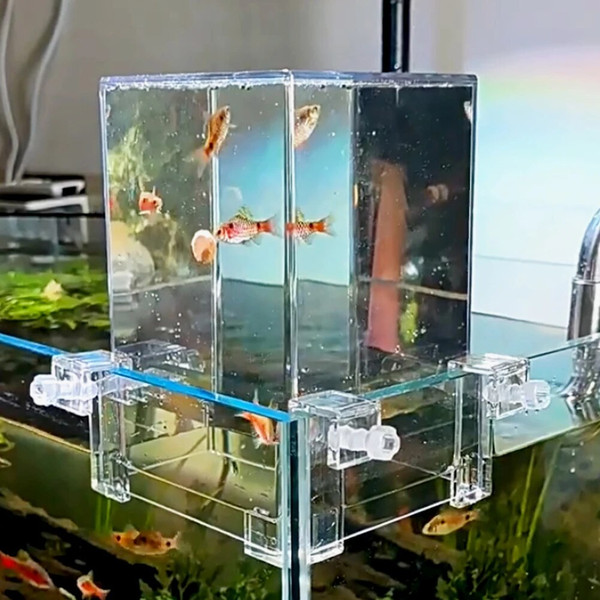 ATp3Fish-Elevator-Inverted-Aquarium-Fish-Tower-Fish-Tank-Aquarium-Decorations-Make-Your-Fish-Fly-Above-The.jpg