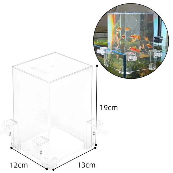 8b2VFish-Elevator-Inverted-Aquarium-Fish-Tower-Fish-Tank-Aquarium-Decorations-Make-Your-Fish-Fly-Above-The.jpg