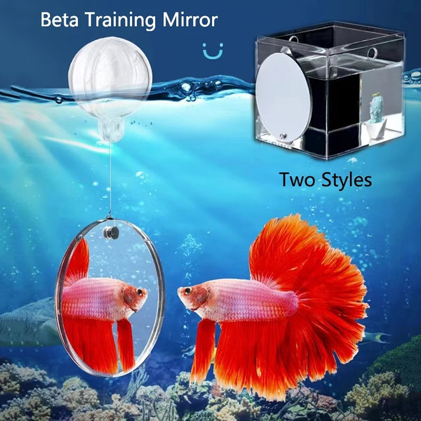 CSBwAcrylic-Aquarium-Betta-Mirror-Fish-Tank-Floating-Round-Mirror-For-Fish-Betta-Flowerhorn-Cichlid-Training-4cm.jpg