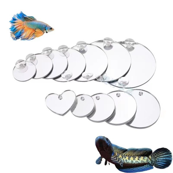 eYfPAcrylic-Aquarium-Betta-Mirror-Fish-Tank-Floating-Round-Mirror-For-Fish-Betta-Flowerhorn-Cichlid-Training-4cm.jpg