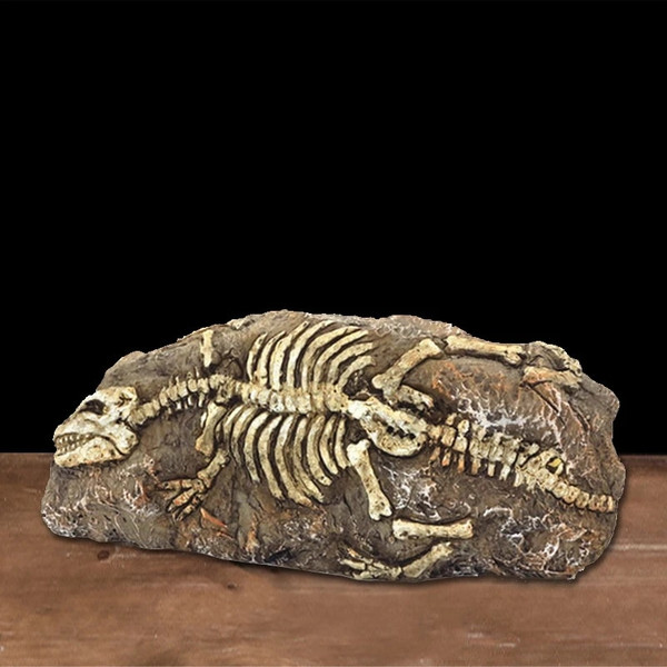 pfCgAnimals-Skull-Fish-Tank-Fossil-Dinosaur-Ornaments-Aquarium-Rhinoceros-Bone-Decoration-Fishbowl-Crocodile-Jellyfish-Carp-Turtle.jpg