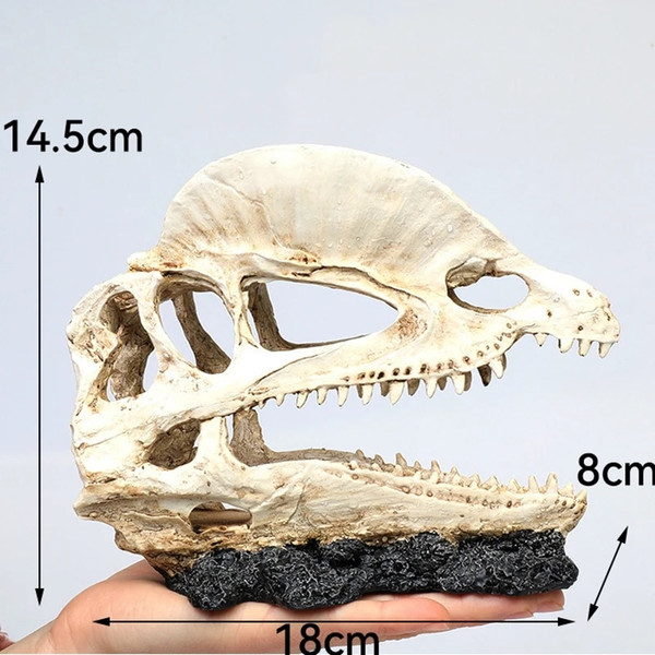 gOqZAnimals-Skull-Fish-Tank-Fossil-Dinosaur-Ornaments-Aquarium-Rhinoceros-Bone-Decoration-Fishbowl-Crocodile-Jellyfish-Carp-Turtle.jpg
