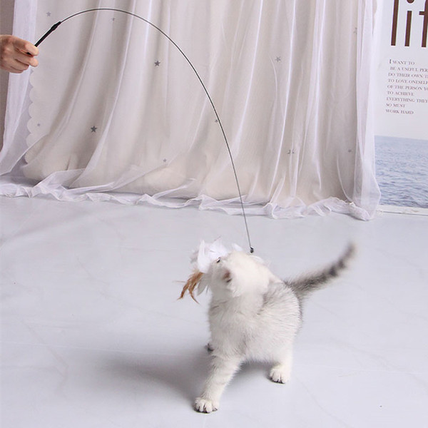 8nZfCat-Toy-Funny-Cat-Toys-Interactive-Self-Hi-Feather-Toys-for-Cats-Tease-Bite-Resistant-Cats.jpg