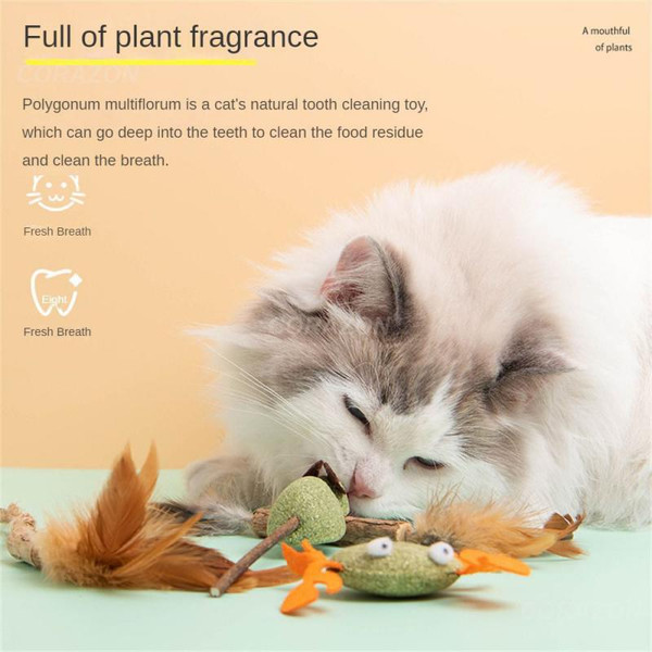 EP8yChasing-Game-Toy-Cat-Mint-Healthy-Safety-Mixed-Multicolor-Wooden-Polygonum-Catnip-Cat-Tooth-Grinding-Rod.jpg