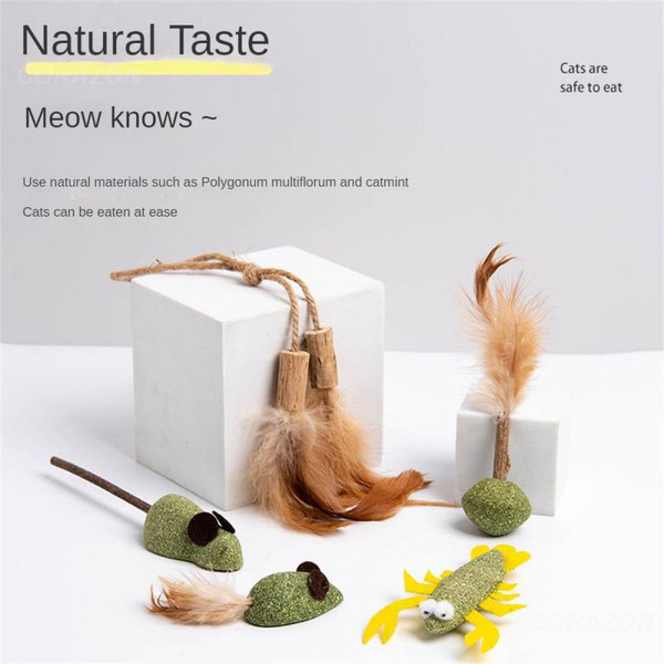 g0xDChasing-Game-Toy-Cat-Mint-Healthy-Safety-Mixed-Multicolor-Wooden-Polygonum-Catnip-Cat-Tooth-Grinding-Rod.jpg