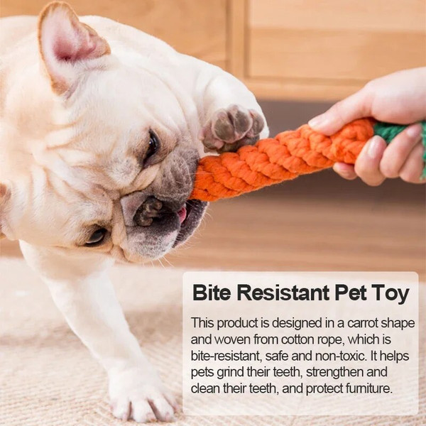 R00o1pc-Pet-Dog-Toys-Cartoon-Animal-Dog-Chew-Toys-Durable-Braided-Bite-Resistant-Puppy-Molar-Cleaning.jpg